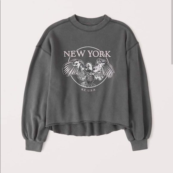 Abercrombie & Fitch Sweaters - Abercrombie and Fitch Sweatshirt size Large NWT